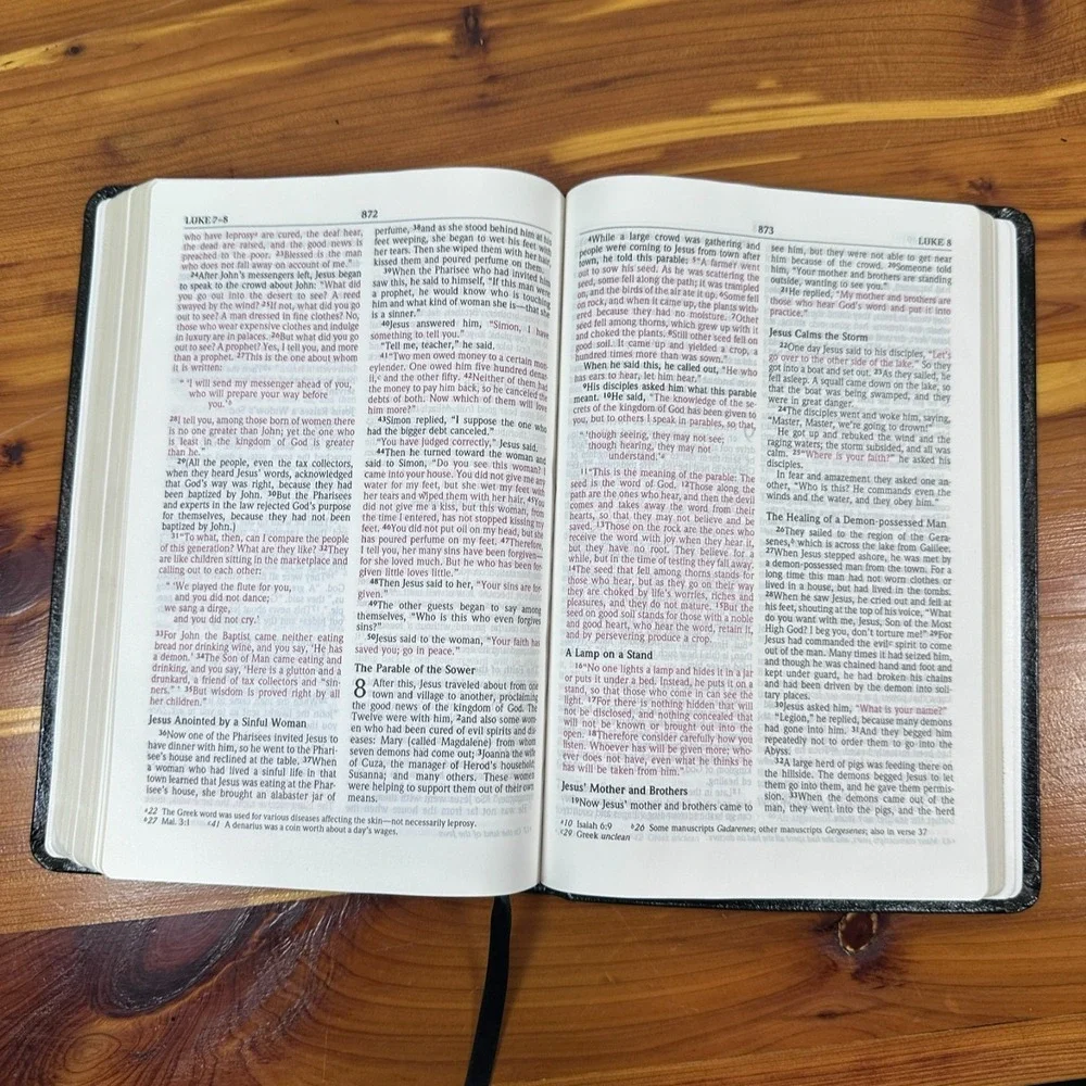 NIV Bible Zondervan Red Letter Edition Christianity Religious Jesus Spiritual